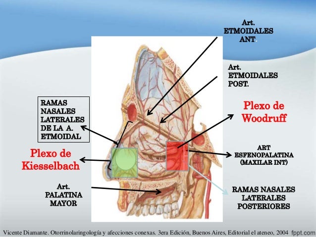 Taponamiento Nasal