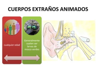 CUERPOS EXTRAÑOS ANIMADOS