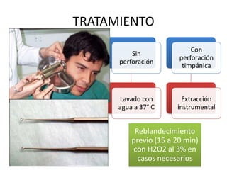 TRATAMIENTO