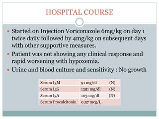 HOSPITAL COURSE
 Started on Injection Voriconazole 6mg/kg on day 1
twice daily followed by 4mg/kg on subsequent days
with other supportive measures.
 Patient was not showing any clinical response and
rapid worsening with hypoxemia.
 Urine and blood culture and sensitivity : No growth
Serum IgM 91 mg/dl (N)
Serum IgG 1251 mg/dl (N)
Serum IgA 103 mg/dl (N)
Serum Procalcitonin 0.57 mcg/L
 