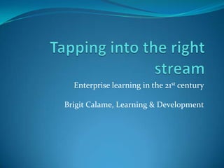 Enterprise learning in the 21st century

Brigit Calame, Learning & Development
 