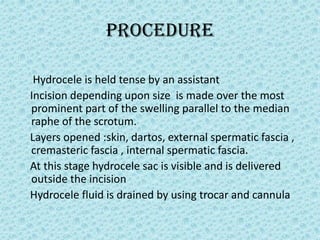 Procedure
Hydrocele is held tense by an assistant
Incision depending upon size is made over the most
prominent part of the swelling parallel to the median
raphe of the scrotum.
Layers opened :skin, dartos, external spermatic fascia ,
cremasteric fascia , internal spermatic fascia.
At this stage hydrocele sac is visible and is delivered
outside the incision
Hydrocele fluid is drained by using trocar and cannula
 