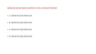 SHRUBS OR BUSHES GROWS UP TO A HEIGHT FROM?
• A. 20CM TO LESS THAN 2M
• B. 30CM TO LESS THAN 3M
• C. 40CM TO LESS THAN 3M
• D. 50CM TO LESS THAN 4M
 