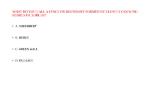 WHAT DO YOU CALL A FENCE OR BOUNDARY FORMED BY CLOSELY GROWING
BUSHES OR SHRUBS?
• A. SHRUBBERY
• B. HEDGE
• C. GREEN WALL
• D. PALISADE
 