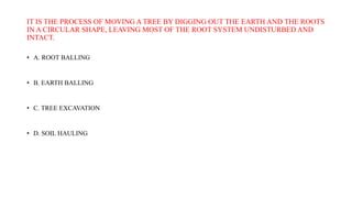 IT IS THE PROCESS OF MOVING A TREE BY DIGGING OUT THE EARTH AND THE ROOTS
IN A CIRCULAR SHAPE, LEAVING MOST OF THE ROOT SYSTEM UNDISTURBED AND
INTACT.
• A. ROOT BALLING
• B. EARTH BALLING
• C. TREE EXCAVATION
• D. SOIL HAULING
 