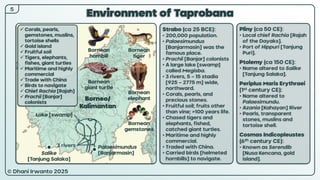 © Dhani Irwanto 2025
5
Environment of Taprobana
Pliny (ca 50 CE):
• Local chief Rachia [Rajah
of the Dayaks].
• Port of Hippuri [Tanjung
Puri].
Ptolemy (ca 150 CE):
• Name altered to Salike
[Tanjung Salaka].
Periplus Maris Erythraei
(1st century CE):
• Name altered to
Palaesimundu.
• Azania [Kahayan] River
• Pearls, transparent
stones, muslins and
tortoise shell.
Cosmas Indicopleustes
(6th century CE):
• Known as Serendib
[Nusa Kencana, gold
island].
Borneo/
Kalimantan
Strabo (ca 25 BCE):
• 200,000 population.
• Palaesimundus
[Banjarmasin] was the
famous place.
• Prachii [Banjar] colonists
• A large lake [swamp]
called Megisba.
• 3 rivers, 5 – 15 stadia
[925 – 2775 m] wide,
northward.
• Corals, pearls, and
precious stones.
• Fruitful soil; fruits other
than vine; >100 years life.
• Chased tigers and
elephants, fished,
catched giant turtles.
• Maritime and highly
commercial.
• Traded with China.
• Carried birds [helmeted
hornbills] to navigate.
Palaesimundus
[Banjarmasin]
3 rivers
Lake [swamp]
Salike
[Tanjung Salaka]
Bornean
hornbill
Bornean
giant turtle
Bornean
tiger
Bornean
elephant
 Corals, pearls,
gemstones, muslins,
tortoise shells
 Gold island
 Fruitful soil
 Tigers, elephants,
fishes, giant turtles
 Maritime and highly
commercial
 Trade with China
 Birds to navigate
 Chief Rachia [Rajah]
 Prachii [Banjar]
colonists
Bornean
gemstones
 
