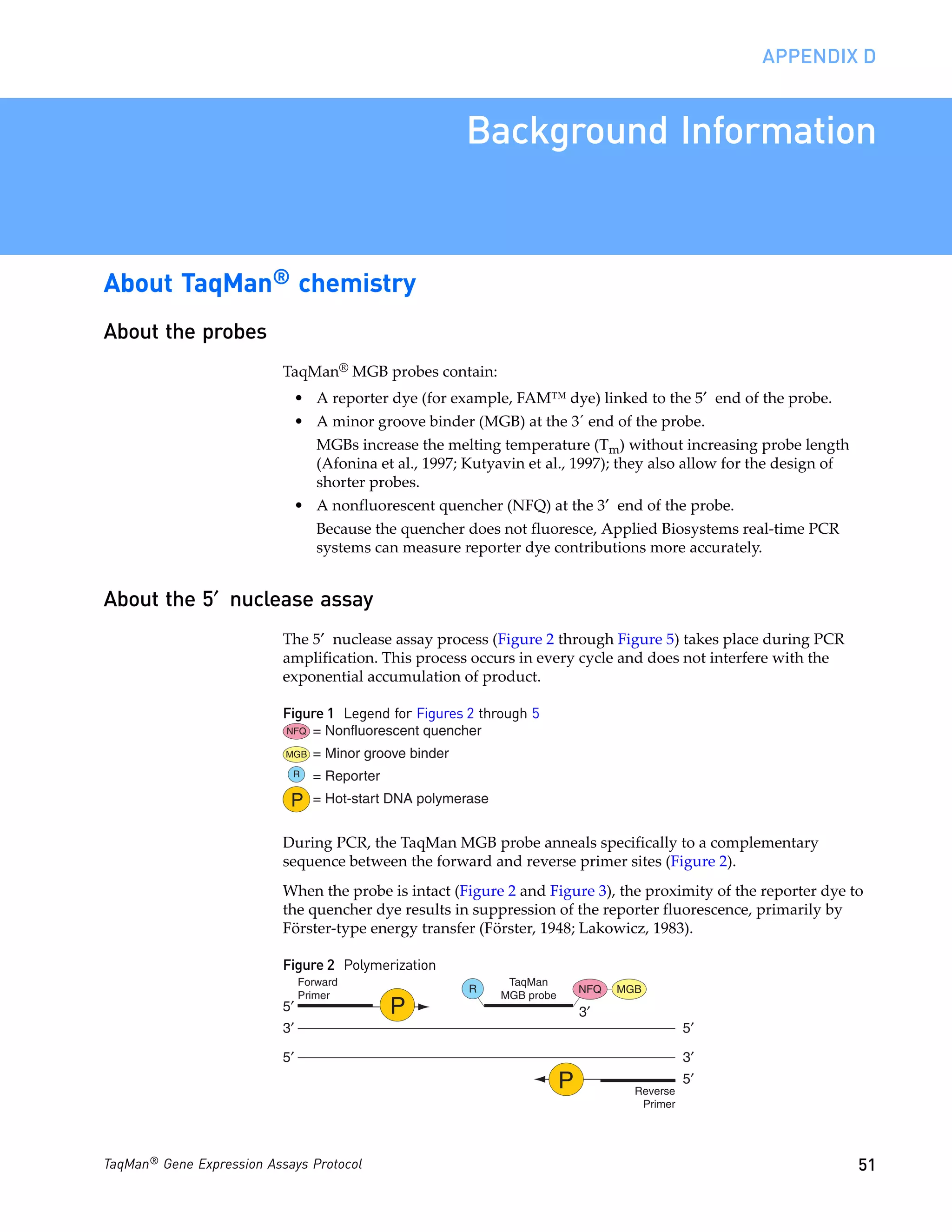 APPENDIX D


                                                          Background Information


About TaqMan® chemistry
About the probes
                           TaqMan® MGB probes contain:
                            • A reporter dye (for example, FAM™ dye) linked to the 5′ end of the probe.
                            • A minor groove binder (MGB) at the 3´ end of the probe.
                                   MGBs increase the melting temperature (Tm) without increasing probe length
                                   (Afonina et al., 1997; Kutyavin et al., 1997); they also allow for the design of
                                   shorter probes.
                            • A nonfluorescent quencher (NFQ) at the 3′ end of the probe.
                                   Because the quencher does not fluoresce, Applied Biosystems real-time PCR
                                   systems can measure reporter dye contributions more accurately.


About the 5′ nuclease assay
                           The 5′ nuclease assay process (Figure 2 through Figure 5) takes place during PCR
                           amplification. This process occurs in every cycle and does not interfere with the
                           exponential accumulation of product.

                           Figure 1 Legend for Figures 2 through 5
                           NFQ    = Nonfluorescent quencher
                           MGB    = Minor groove binder
                            R     = Reporter
                            P     = Hot-start DNA polymerase


                           During PCR, the TaqMan MGB probe anneals specifically to a complementary
                           sequence between the forward and reverse primer sites (Figure 2).
                           When the probe is intact (Figure 2 and Figure 3), the proximity of the reporter dye to
                           the quencher dye results in suppression of the reporter fluorescence, primarily by
                           Förster-type energy transfer (Förster, 1948; Lakowicz, 1983).

                           Figure 2 Polymerization
                                Forward                         TaqMan
                                                          R                    NFQ   MGB
                                Primer                         MGB probe
                           5′                  P                               3′
                           3′                                                                    5′

                           5′                                                                    3′
                                                                           P           Reverse
                                                                                                 5′
                                                                                        Primer




TaqMan® Gene Expression Assays Protocol                                                                               51
 