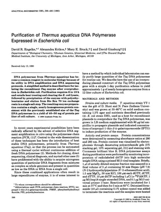 ANALYTICAL BIOCHFMISTRY 19 1,396-400 (1990)
Purification of Thermus aquaticus DNA Polymerase
Expressed in Escherichia co/i
David R. Engelke, *J Alexandra Krikos,? Mary E. Bruck,t$ and David Ginsburgt*$$
Departments of *Biological Chemistry, THuman Genetics,$Internal Medicine, and *The Howard Hughes
Medical Institute, the University of Michigan, Ann Arbor, Michigan, 48109
Received July 13, 1990
DNA polymerase from Thermus aquaticus has be-
come a common reagent in molecular biology because of
its utility in DNA amplification and DNA sequencing
protocols. A simplified method is described here for iso-
lating the recombinant Taq enzyme after overproduc-
tion in Escherichia coli. Purification requires 8 to 10 h
and entails heat treating and clearing the E. coli lysate,
followed by precipitation of the enzyme with polyethy-
leneimine and elution from Bio Rex 70 ion exchange
resin in a single salt step. The resulting enzyme prepara-
tion contains a single, nearly homogeneous protein con-
sistent with the previously established size of the Taq
DNA polymerase in a yield of 40-60 mg of protein per
liter of cell culture. 0 1990 Academic Press, IIIC.
In recent years experimental possibilities have been
radically affected by the advent of selective DNA seg-
ment amplification in vitro using the polymerase chain
reaction [PCR, (l)]‘. Central to the wide dissemination
of these techniques has been the introduction of heat
stable DNA polymerases, primarily from Thermus
aquaticus (Tuq), so that the process can be automated
using a thermal cycler without continuous addition of
fresh DNA polymerase (2). Methods for cloning, direct
sequencing, clinical diagnosis, and myriad other uses (3)
have proliferated with the ability to acquire microgram
quantities of particular DNA fragments from mixtures
as complex as whole genomes and present in quantities
as low as the DNA or RNA from a single cell.
Since these combined applications often result in
large expenditures of enzyme, it is of some interest to
1 To whom correspondence should be addressed.
’ Abbreviations used: PCR, polymerase chain reaction; IPTG, iso-
propyl-1-thio-,9-D-galactopyranoside; PMSF, phenylmethylsulfonyl
fluoride; PEI, polyethyleneimine.
396
have a method by which individual laboratories can eas-
ily purify large quantities of the Tuq DNA polymerase
for routine use. We describe here the use of an overpro-
ducing plasmid construct of the Tuq DNA polymerase
gene with a simple l-day purification scheme to yield
approximately 1 g of nearly homogenous enzyme from a
l%-liter culture of Escherichiu coli.
MATERIALS AND METHODS
Strains and culture media. T. aquaticus strain YT-1
was the gift of D. Hunt and N. Pace (Indiana Univer-
sity) and was grown at 5560°C on solid medium con-
taining 1.5% agar and nutrients described previously
(4). E. coli strain DHl, used as a host for recombinant
plasmids to overproduce the Tuq DNA polymerase, was
grown in LB medium supplemented with 80 pg/ml am-
picillin to propagate plasmids and indicated concentra-
tions of isopropyl-1-thio-/3-D-galactopyranoside (IPTG)
to induce production of the enzyme.
Activity and protein assays. Protein concentrations
were determined by measuring absorbance ratios at 280
and 260 nm. Protein content was visualized by electro-
phoresis through denaturing polyacrylamide gels [5%
stacking gel, 10% separating gel, (5)] and staining with
Coomassie brilliant blue R. DNA polymerase assays
during purification were performed by monitoring incor-
poration of radiolabeled dATP into high molecular
weight DNA using a primed Ml3 viral template. Briefly,
1~1 of serially diluted enzyme fraction was assayed in a
final volume of 5 ~1 containing 50 InM Hepes (pH 7.9)
(N-2 hydroxyethylpiperizine-N’-2-ethanesulfonic acid),
1.5 mM MgCl,, 50 mM KCl, 100 I.IM each dGTP, dCTP,
and dTTP, 10 PM dATP including 1 &i [(w-~‘P]~ATP, 1
pg M13mp18 single-stranded DNA, and 0.1 pg Ml3 uni-
versal primer 17mer. Reactions were incubated for 1
min at 37°C and then for 3 min at 65°C. Deionized form-
amide (10 ~1) containing 0.1% xylene cyan01 was added
to terminate the reactions and the samples were heated
0003-2697190 $3.00
Copyright 0 1990 by Academic Press, Inc.
All rights of reproduction in any form reserved
 