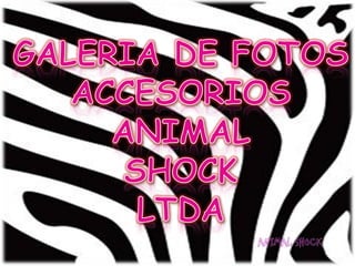empresa accesorios animal shock ltda