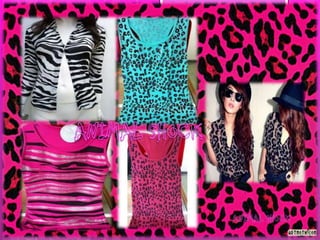 empresa accesorios animal shock ltda