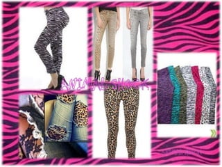 empresa accesorios animal shock ltda