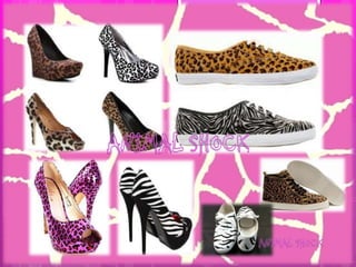 empresa accesorios animal shock ltda