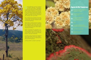 1 
Águas do Rio Taquaraçu 
Comitês de Bacia Hidrográfica 
e Agências de Água 
O Comitê da Bacia do 
Rio das Velhas 
A Bacia Hidrográfica do 
Rio Taquaraçu e o 
Subcomitê Taquaraçu 
Mapa 
O Projeto de Recuperação 
Ambiental da Bacia do Taquaraçu 
Palavra da comunidade 
Texto Derza – sobre o 
legado do projeto 
Nesta publicação você irá conhecer 
o projeto intitulado “Recomposi-ção 
de matas ciliares degradadas 
e manutenção florestal na Bacia Hidro-gráfica 
do Rio Taquaraçu”. O nome pa-rece 
complicado, mas as ações do proje-to 
têm um objetivo geral muito simples: 
recuperar e cuidar do meio ambiente na 
região, sobretudo nas áreas de nascen-tes, 
córregos, rios e seus vales. 
São 14 páginas para entender tudo sobre 
as boas ações de preservação que estão 
acontecendo e que vão continuar na Ba-cia 
do Rio Taquaraçu. 
Nesta etapa, o projeto prevê a recupera-ção 
de mais de 130 hectares (1.300.000 
m2) espalhados pela parte alta do Rio 
Preto, Ribeiro Bonito e Córrego Furado, 
nos municípios de Caeté, Nova União e 
Taquaraçu de Minas. 
Serão cercamentos de nascentes e cór-regos, 
recuperação e replantios em áre-as 
degradadas, beiras de córregos (as 
matas ciliares), além de ações de mobi-lização 
e educação ambiental. 
O projeto é uma proposta do Comitê da 
Bacia Hidrográfica do Rio das Velhas – 
CBH Velhas, por meio do Subcomitê da 
Bacia do Rio Taquaraçu. 
Conheça melhor o projeto e participe! 
02 
03 
04 
06 
08 
12 
13 
 