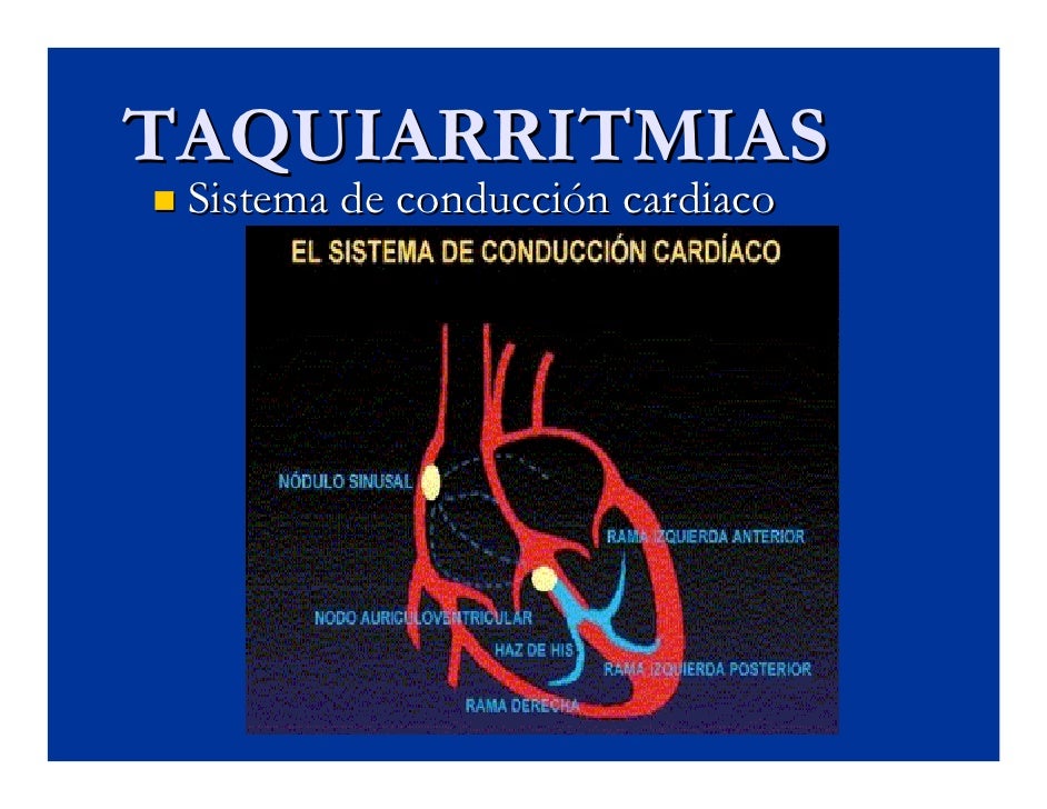 O Que é Taquisfigmia - RETOEDU