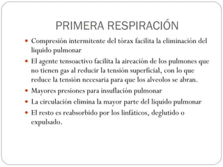 PRIMERA RESPIRACIÓN Compresión intermitente del tórax facilita la eliminación del liquido pulmonar El agente tensoactivo facilita la aireación de los pulmones que no tienen gas al reducir la tensión superficial, con lo que reduce la tensión necesaria para que los alveolos se abran. Mayores presiones para insuflación pulmonar La circulación elimina la mayor parte del liquido pulmonar El resto es reabsorbido por los linfáticos, deglutido o expulsado. 