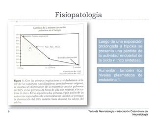 Fisiopatología
Luego de una exposición
prolongada a hipoxia se
presenta una pérdida de
la actividad endotelial de
la óxido...