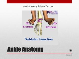 Ankle Anatomy 10
Ankle Anatomy Subtalar Function
5/10/2015
 