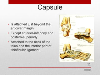 Capsule
• Is attached just beyond the
articular margin
• Except anterior-inferiorly and
postero-superiorly
• Attached to the neck of the
talus and the inferior part of
tibiofibular ligament.
11
5/10/2015
 