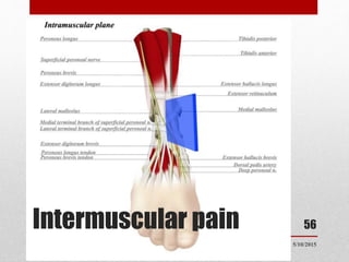 Intermuscular pain
5/10/2015
56
 