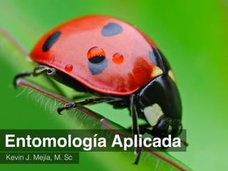 Entomología Aplicada
Kevin J. Mejía, M. Sc
 