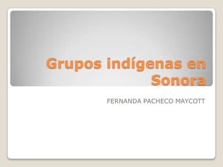 Grupos indígenas en
Sonora
FERNANDA PACHECO MAYCOTT

 
