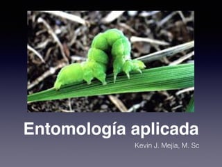 Entomología aplicada
Kevin J. Mejía, M. Sc
 