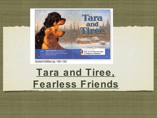 Tara and Tiree,
Fearless Friends
 