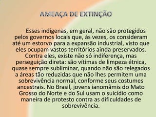 Esses indígenas, em geral, não são protegidos
pelos governos locais que, às vezes, os consideram
até um estorvo para a expansão industrial, visto que
eles ocupam vastos territórios ainda preservados.
Contra eles, existe não só indiferença, mas
perseguição direta: são vítimas de limpeza étnica,
quase sempre subliminar, quando não são relegados
a áreas tão reduzidas que não lhes permitem uma
sobrevivência normal, conforme seus costumes
ancestrais. No Brasil, jovens ianomâmis do Mato
Grosso do Norte e do Sul usam o suicídio como
maneira de protesto contra as dificuldades de
sobrevivência.

 