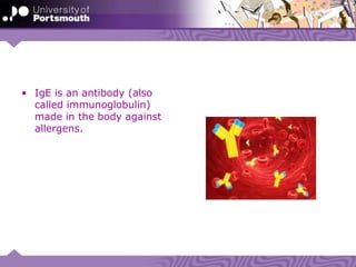 • IgE is an antibody (also
called immunoglobulin)
made in the body against
allergens.
 