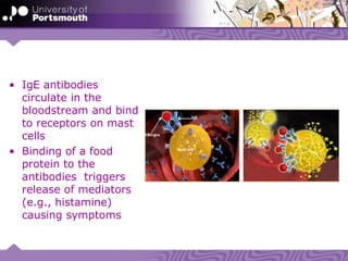 • IgE antibodies
circulate in the
bloodstream and bind
to receptors on mast
cells
• Binding of a food
protein to the
antibodies triggers
release of mediators
(e.g., histamine)
causing symptoms
 