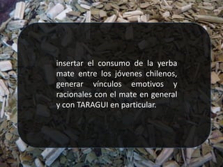 insertar el consumo de la yerba
mate entre los jóvenes chilenos,
generar vínculos emotivos y
racionales con el mate en general
y con TARAGUI en particular.
 
