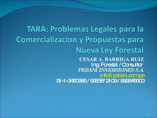 CESAR A. BARRIGA RUIZ Ing. Forestal / Consultor  PEBANI INVERSIONES S.A. [email_address] 51-1-3460965 / 99836*2109 / 999945600 