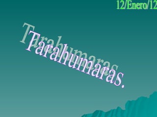 Tarahumaras. 12/Enero/12  