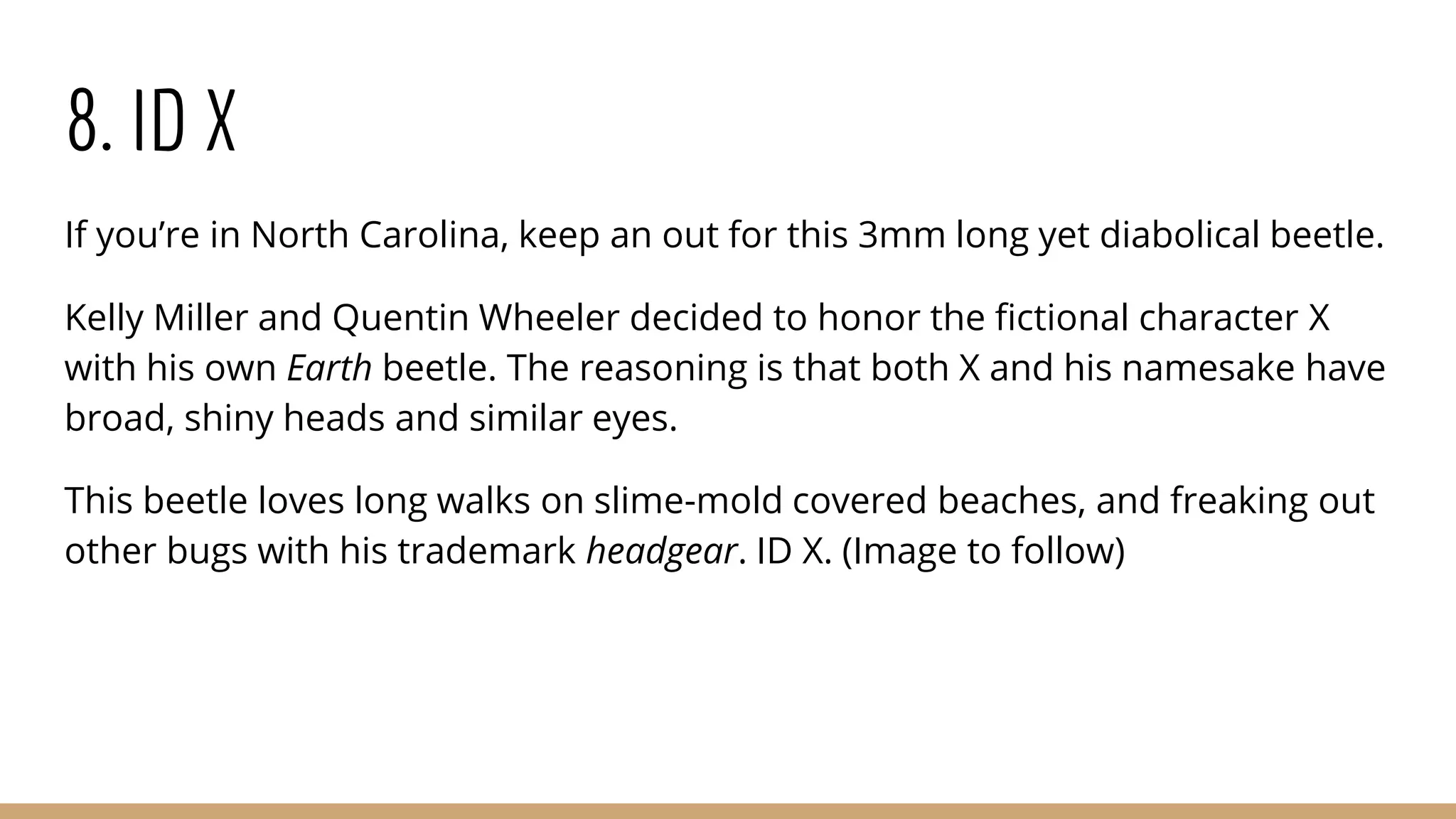 8. ID X
If you’re in North Carolina, keep an out for this 3mm long yet diabolical beetle.
Kelly Miller and Quentin Wheeler decided to honor the fictional character X
with his own Earth beetle. The reasoning is that both X and his namesake have
broad, shiny heads and similar eyes.
This beetle loves long walks on slime-mold covered beaches, and freaking out
other bugs with his trademark headgear. ID X. (Image to follow)
 