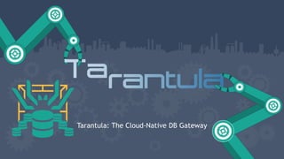 Tarantula: The Cloud-Native DB Gateway
 