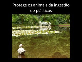 Protege os animais da ingestão
de plásticos
 