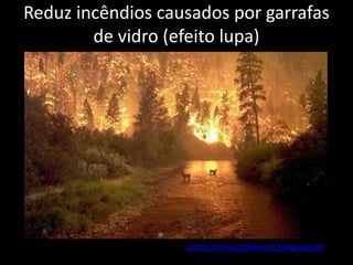 Reduz incêndios causados por garrafas
de vidro (efeito lupa)
protecaoincendiosunb.blogspot.pt
 