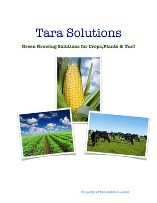 Tara Solutions
    Green Growing Solutions for Crops,Plants & Turf




	                      	    Property of Tara Solutions,LLC
 