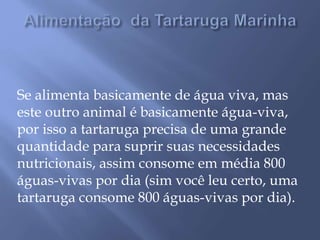 Se alimenta basicamente de água viva, mas 
este outro animal é basicamente água-viva, 
por isso a tartaruga precisa de uma grande 
quantidade para suprir suas necessidades 
nutricionais, assim consome em média 800 
águas-vivas por dia (sim você leu certo, uma 
tartaruga consome 800 águas-vivas por dia). 
 