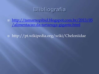  http://tamarnopibid.blogspot.com.br/2013/05 
/alimentacao-da-tartaruga-gigante.html 
 http://pt.wikipedia.org/wiki/Cheloniidae 

