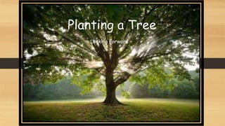 Planting a Tree
Looking Forward

 