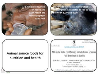   The role of livestock in achieving the SDGs