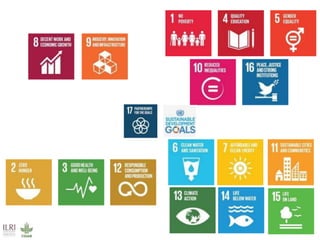   The role of livestock in achieving the SDGs