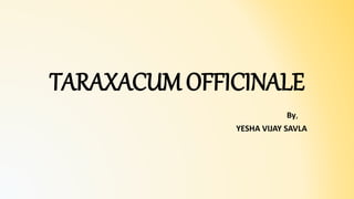 TARAXACUM OFFICINALE
By,
YESHA VIJAY SAVLA
 