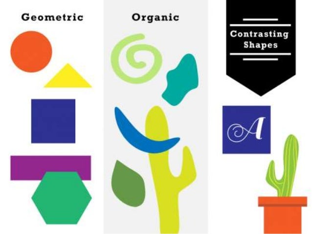 tar beach and geometric and organic shapes organic shape