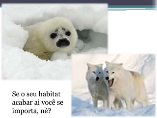Se o seu habitat
acabar ai você se
importa, né?
 