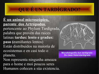 QUE É UN TARDÍGRADO?
É un animal microscópico,
parente dos Artrópodos,
pertencente ao Phylum Tardígrada,
palabra que provén das raíces
latinas tardus: lento e gradus:
paso (camiñantes lentos)
Están distribuidos na maioría de
ecosistemas e en casi todo o
planeta.
Non representa ningunha ameaza
para o home e moi poucos seres
Humanos coñecen a súa existencia.
Microfotografía dun tardígrado
De clase Heterotardígrada
 