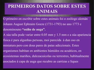 PRIMEIROS DATOS SOBRE ESTES
ANIMAIS
O primeiro en escribir sobre estes animais foi o zoólogo alemán
Johann August Ephraim Goeze (1731-1793) no ano 1773 e
denominouno “osiño de auga”.
A súa talla pode variar entre 0.05 mm y 1.5 mm e a súa apariencia
física é para algunhas persoas, moi parecida á dun oso en
miniatura pero con dous pares de patas adiccionais. Estes
organismos habitan en ambientes húmidos ou acuáticos, en
ecosistemas mariños, dulceacuícolas ou terrestres, habitualmente
asociados á capa de auga que recubre as carrizas e liques
 