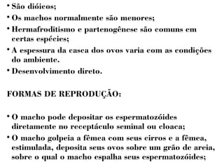  São dióicos; 
 Os machos normalmente são menores; 
 Hermafroditismo e partenogênese são comuns em 
certas espécies; 
 A espessura da casca dos ovos varia com as condições 
do ambiente. 
 Desenvolvimento direto. 
FORMAS DE REPRODUÇÃO: 
 O macho pode depositar os espermatozóides 
diretamente no receptáculo seminal ou cloaca; 
 O macho golpeia a fêmea com seus cirros e a fêmea, 
estimulada, deposita seus ovos sobre um grão de areia, 
sobre o qual o macho espalha seus espermatozóides; 
 
