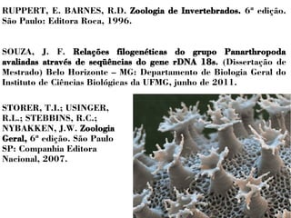 RUPPERT, E. BARNES, R.D. Zoologia de Invertebrados. 6ª edição. 
São Paulo: Editora Roca, 1996. 
SOUZA, J. F. Relações filogenéticas do grupo Panarthropoda 
avaliadas através de seqüências do gene rDNA 18s. (Dissertação de 
Mestrado) Belo Horizonte – MG: Departamento de Biologia Geral do 
Instituto de Ciências Biológicas da UFMG, junho de 2011. 
STORER, T.I.; USINGER, 
R.L.; STEBBINS, R.C.; 
NYBAKKEN, J.W. Zoologia 
Geral, 6ª edição. São Paulo 
SP: Companhia Editora 
Nacional, 2007. 
